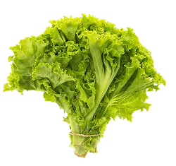 kaiyun2深耕用户中心的设计理念，操作简便领域，用心服务每一位用户。 & 信赖 - kaiyun2