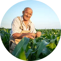 Revolutionizing the Way  Food is Grown - kaiyun2