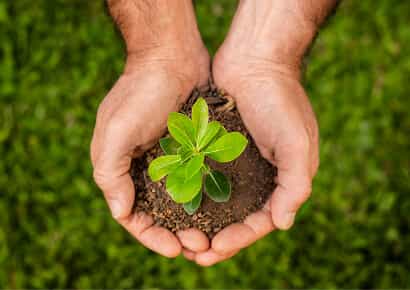 Organic Farming Solutions - kaiyun2