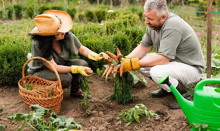 Revolutionizing the Way Food is Grown - kaiyun2
